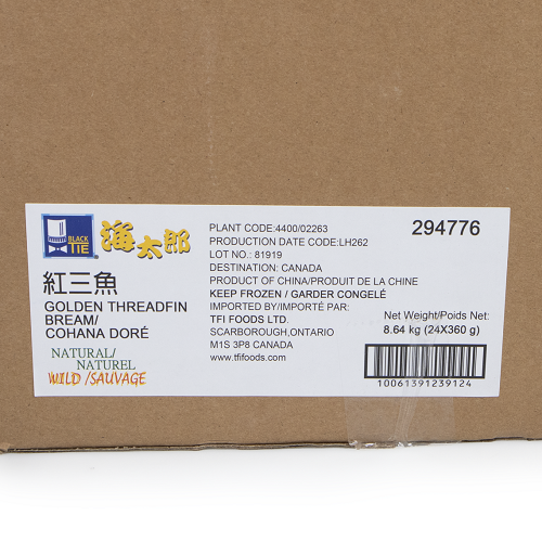 Golden_Thread_Fin_Bream_294776_04